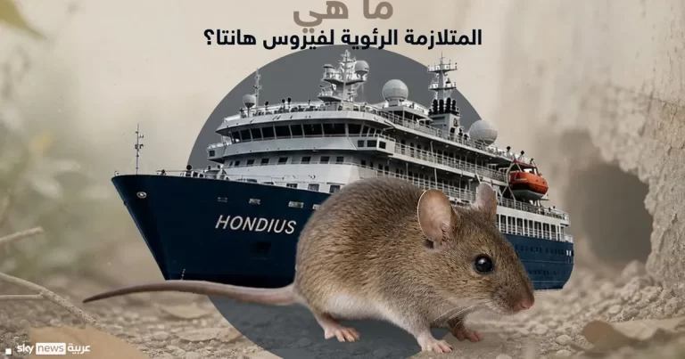 الصحة العالمية: فيروس هانتا ربما من شخص لآخر على متن هونديوس