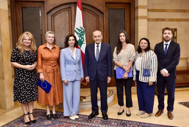 بري يبحث مع وفد أوروبي ملف النازحين وتداعيات الاعتداءات الإسرائيلية على لبنان
