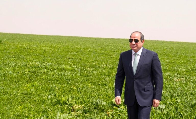 وزير مصري: السيسي بيتحاسب على المياه بالمتر المكعب زي المصريين