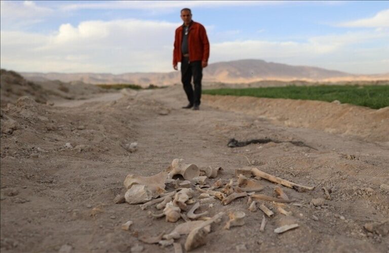 سوريا.. العثور على مقبرة جماعية داخل مقلع مهجور في عش الورور بدمشق (صورة)