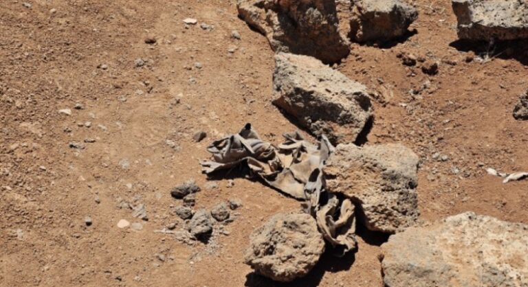 اكتشاف مقبرة جماعية جديدة قرب مستشفى تشرين العسكري في دمشق العثور على مقبرة جماعية جديدة قرب مستشفى تشرين العسكري بدمشق