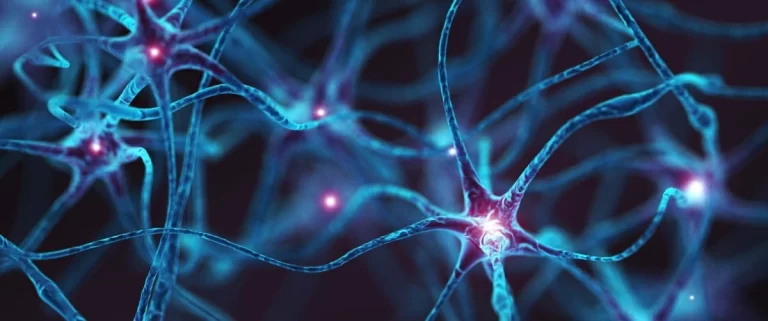 اكتشاف خلايا دماغية شابة تعزز مقاومة مرض الزهايمر لدى المرضى خلايا دماغية شابة تعزز مقاومة الزهايمر