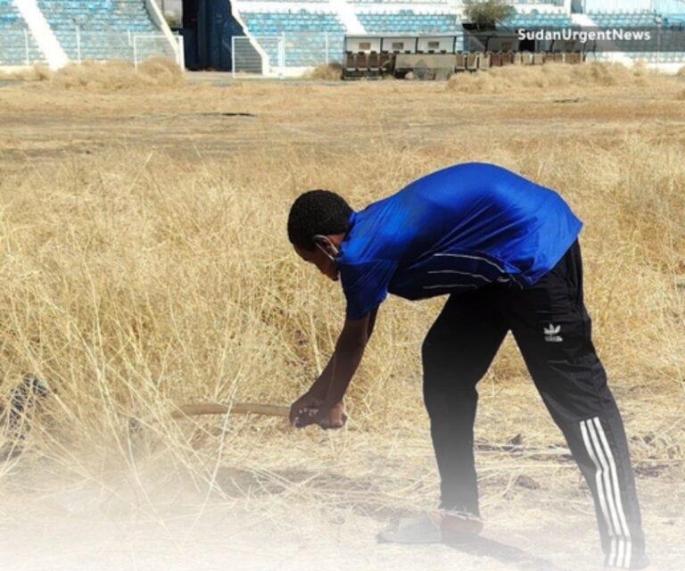 اكتشاف قبر داخل ملعب الهلال في السودان خلال حملة تنظيف متطوعين السودان.. متطوعون يعثرون على قبر داخل ملعب الهلال خلال حملة تنظيف بـ"الجوهرة الزرقاء" (صور)