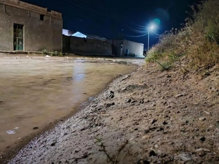 جهود الحكومة السورية تدعم دير الزور بكل الإمكانات اللوجستية والإنتاجية نائب وزير الاقتصاد: الجهود الحكومية تسخّر جميع الإمكانات اللوجستية والإنتاجية لدعم دير الزور