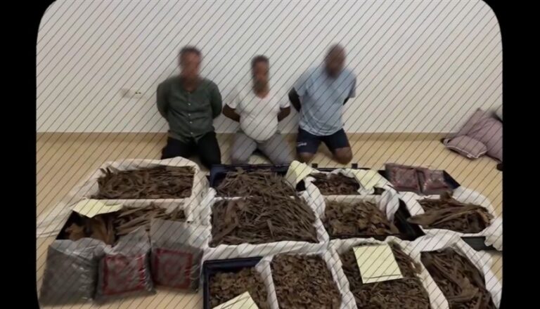 القبض على 8 متورطين في سرقة عود فاخر بـ12 مليون درهم في دبي