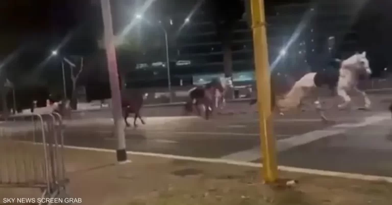 فوضى روما الليلة: حركة استثنائية مع ركوب خيول في الشوارع ليلة من الفوضى في روما.. خيول مذعورة تجتاح الشوارع
