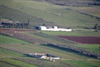مساحات زراعية في جنوب لبنان (الأناضول)