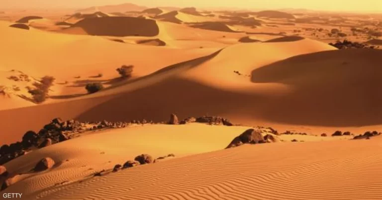 فرحة العيد تتحول لمأساة إفريقية.. موت 49 شخصا من العطش
