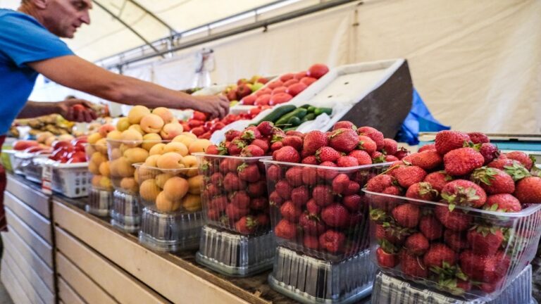 دراسة جديدة تكشف العلاقة بين شكل الثمار ومحتوى النترات فيها هل يمكن معرفة محتوى النترات من شكل الثمار؟