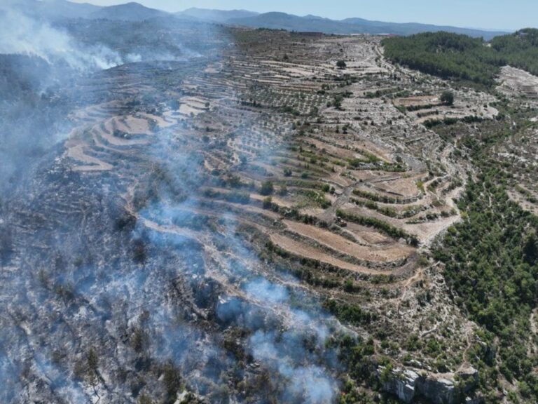 وزارة الطوارئ تعزز جاهزيتها لمواجهة حرائق محتملة في الساحل السوري وزارة الطوارئ ترفع الجاهزية لمواجهة الحرائق المحتملة في مناطق الساحل