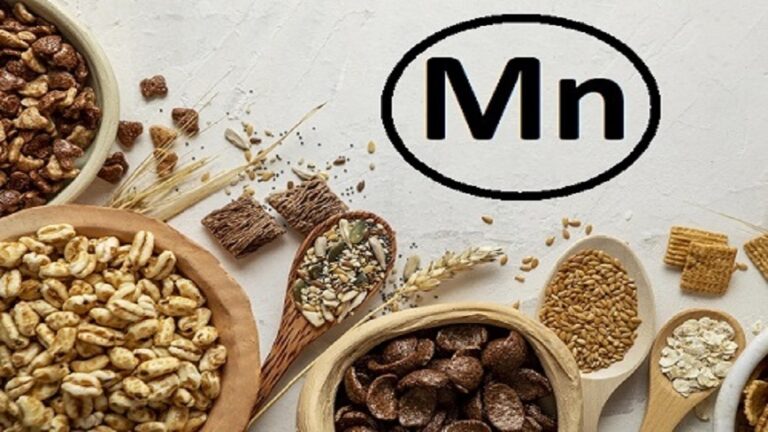 خبير روسي يحذر من تأثيرات نقص وزيادة المنغنيز على صحة الإنسان خبير روسي يحذر من مخاطر نقص المنغنيز وزيادته على صحة الإنسان