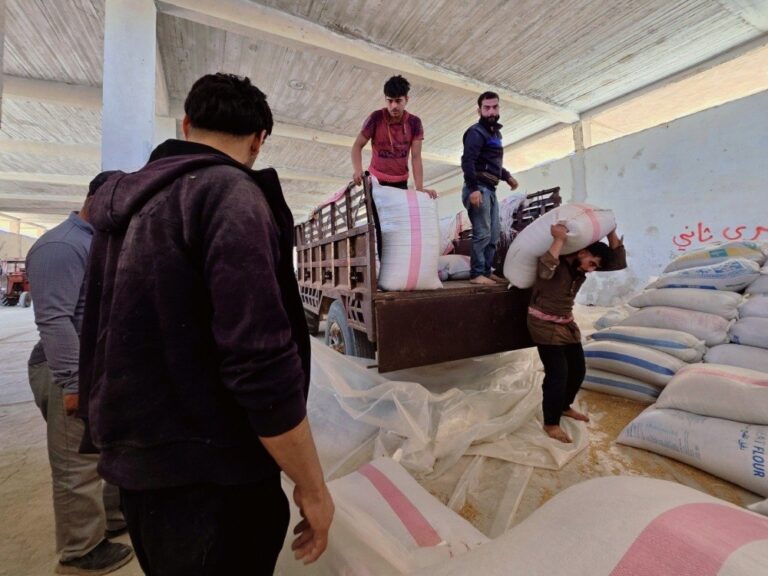 السورية للحبوب تفتتح عراءات دوكمة جديدة في القامشلي وعامودا السورية للحبوب تباشر افتتاح عراءات دوكمة في القامشلي وعامودا