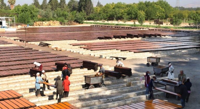 "قمر الدين" صناعة تقليدية تتجدد مع عودة موسم المشمش