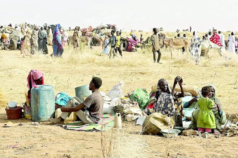 الإمارات تدعو لوقف فوري للأعمال العدائية لحماية المدنيين في السودان الإمارات تطالب بهدنة فورية لحماية المدنيين في السودان