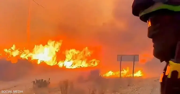 حرائق الأندلس تودي بحياة 12 شخصاً، بينهم ضحايا داخل سياراتهم حرائق الأندلس تودي بحياة 12 شخصاً، بينهم ضحايا داخل سياراتهم