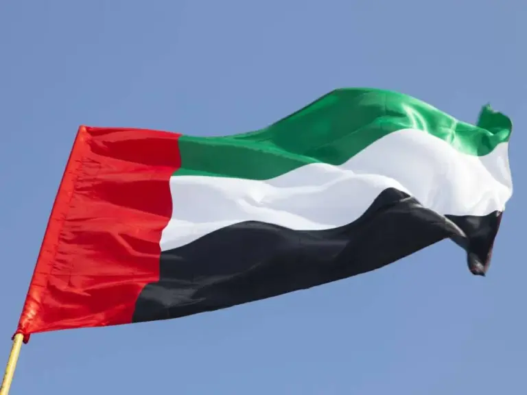 الإمارات تؤكد دعمها لإجراءات سوريا ضد خلايا "داعش" الإرهابية